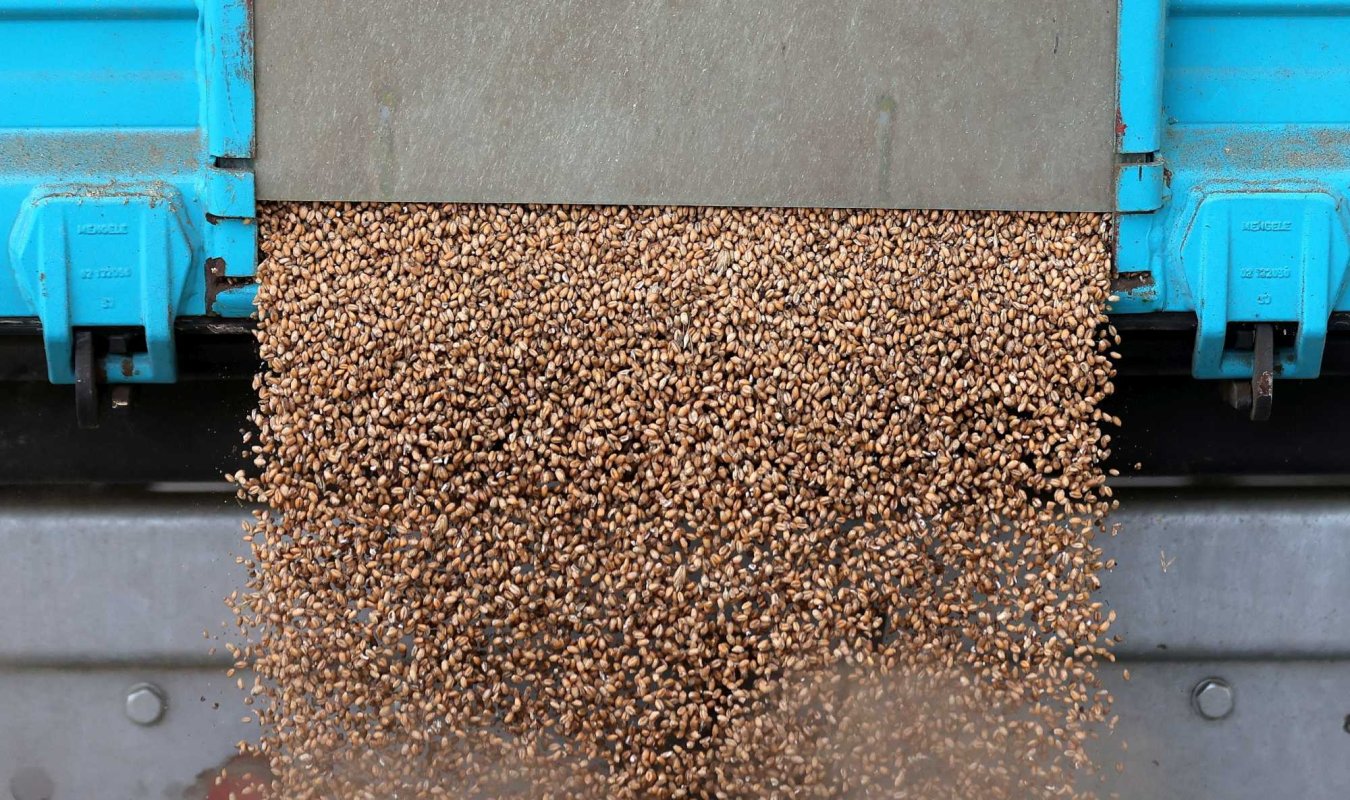 Cel mai mare exportator de grâu din UE 316465