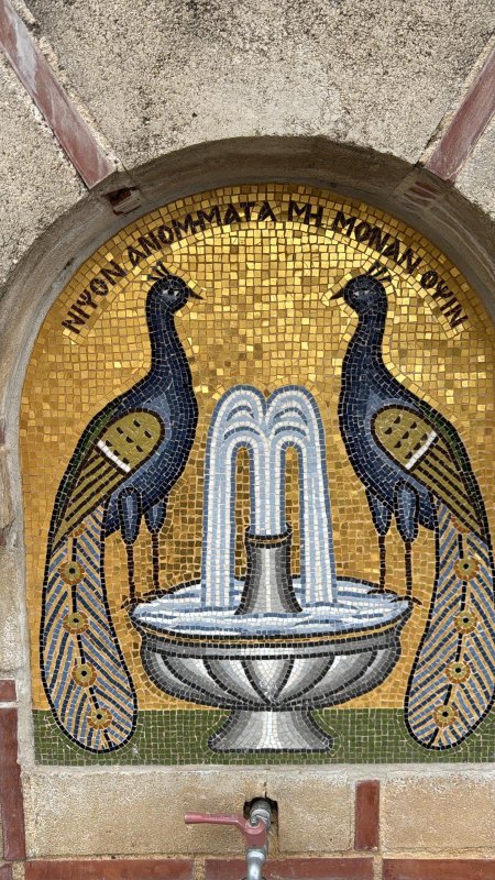 Drumul întoarcerii acasă 316545