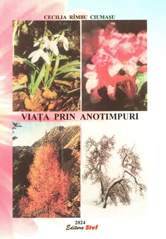 O carte cu valoare de testament 316445