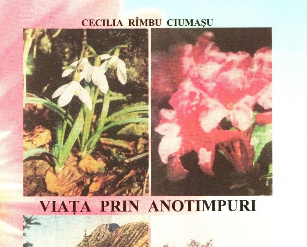 O carte cu valoare de testament 316446