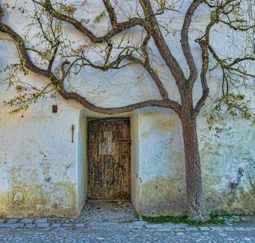 Oameni fugiți din poze 316461