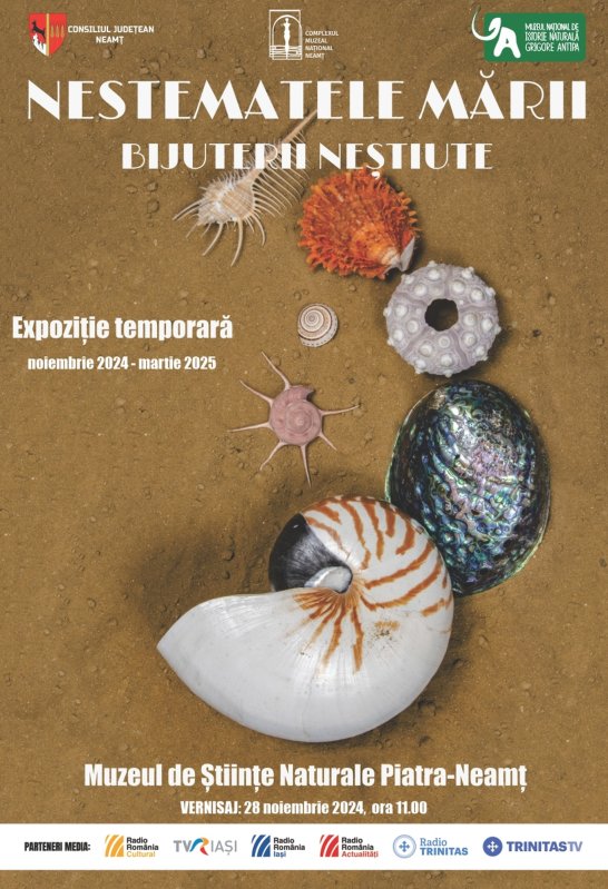 „Nestematele mării” 317636