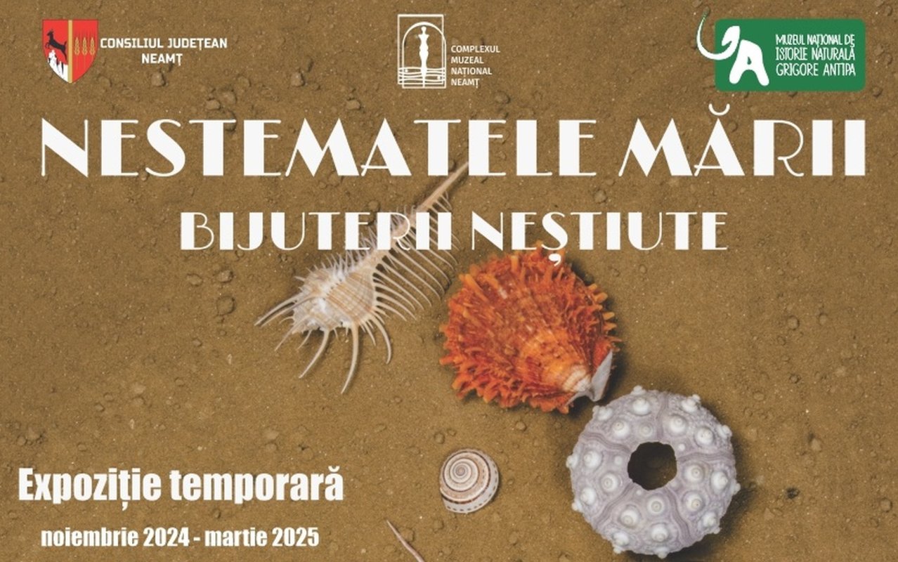 „Nestematele mării” 317637
