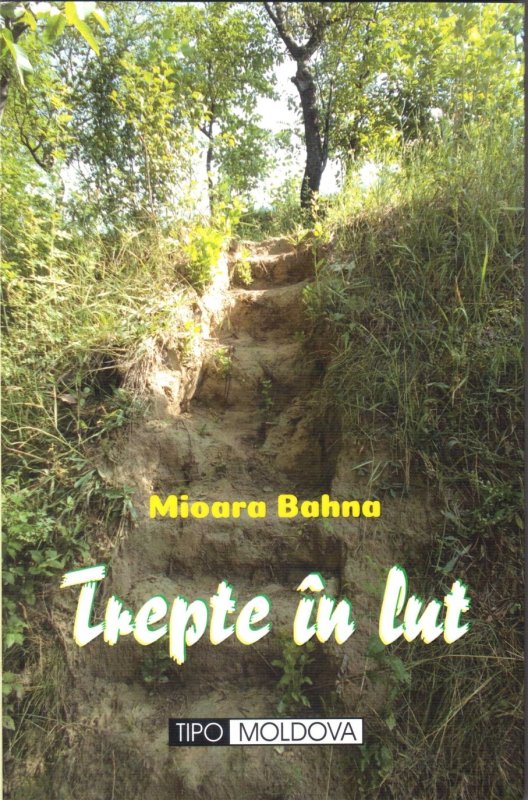 Transfigurarea lutului: incrustații în piatra memoriei 317625