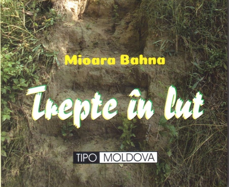 Transfigurarea lutului: incrustații în piatra memoriei 317626