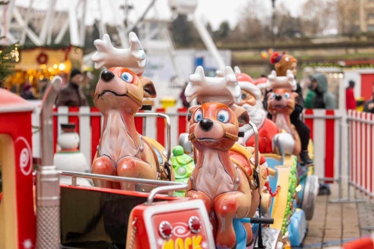 Ziua copiilor cu nevoi speciale la Târgul de Crăciun 317809