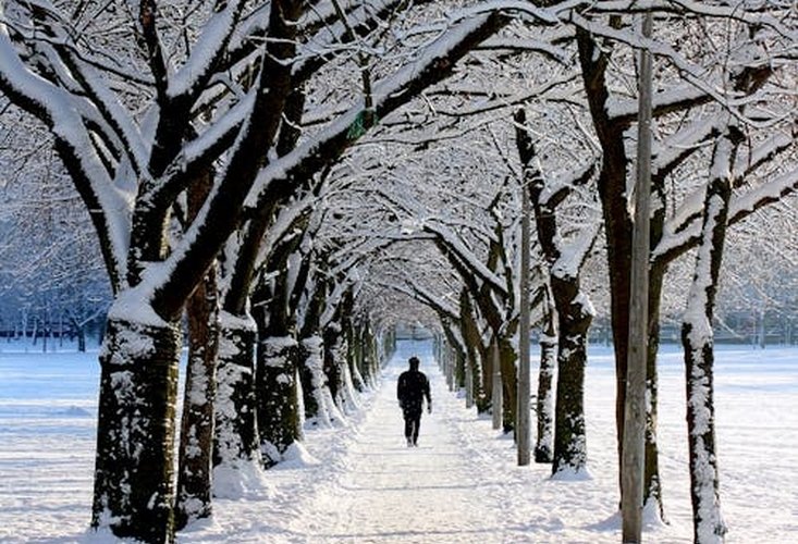 Sfântul Nicolae al străzii 317946