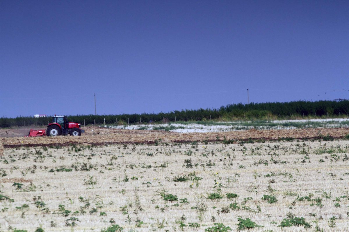 Principalul risc climatic în România este legat de secetă 318282