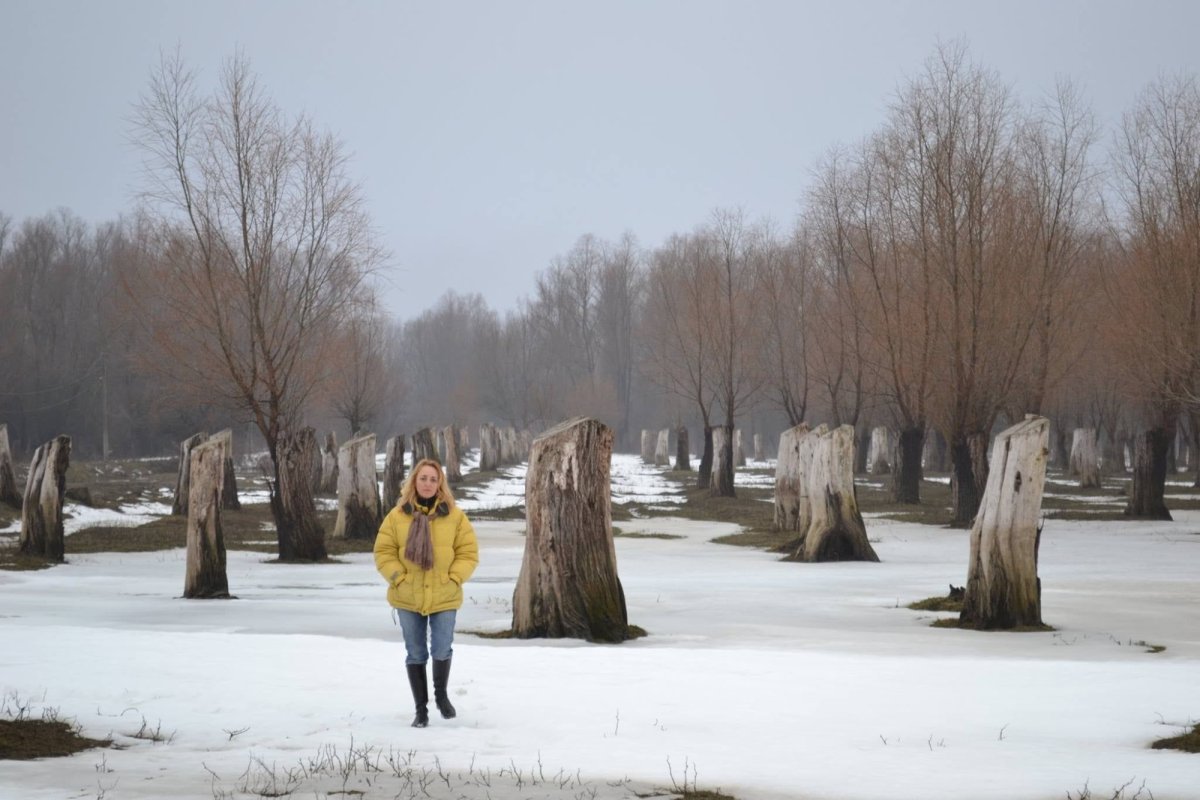 Investiția în presă, la fel de necesară ca „investiția în spitale sau în școli” 318397