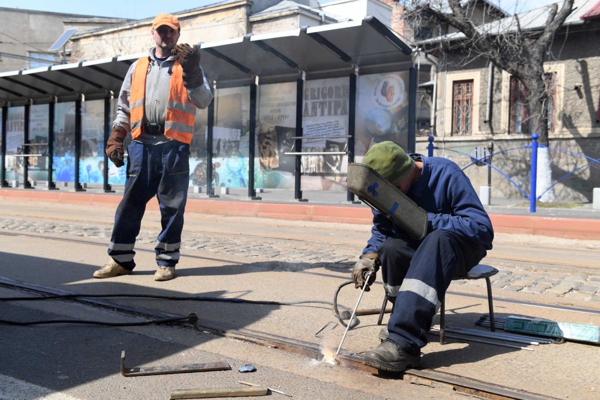 Locuri de muncă în afara ţării 319050