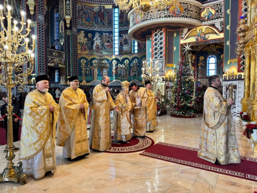 Praznic luminos la Arad 320356