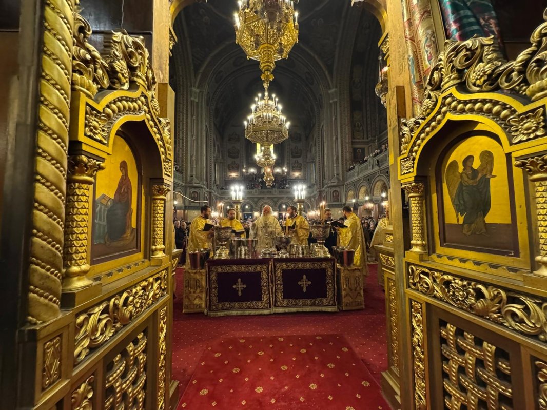 Timișorenii au sărbătorit Botezul Domnului 320676