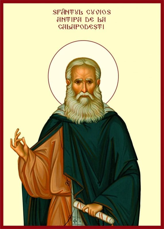 Sfântul Antipa de la Calapodeşti, marele nevoitor din Tebaida Nordului 320502