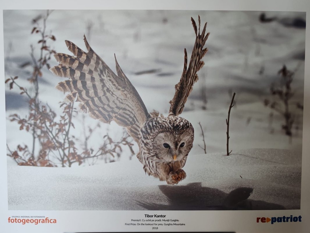 „Fotogeografica”, expoziţie retrospectivă 321041