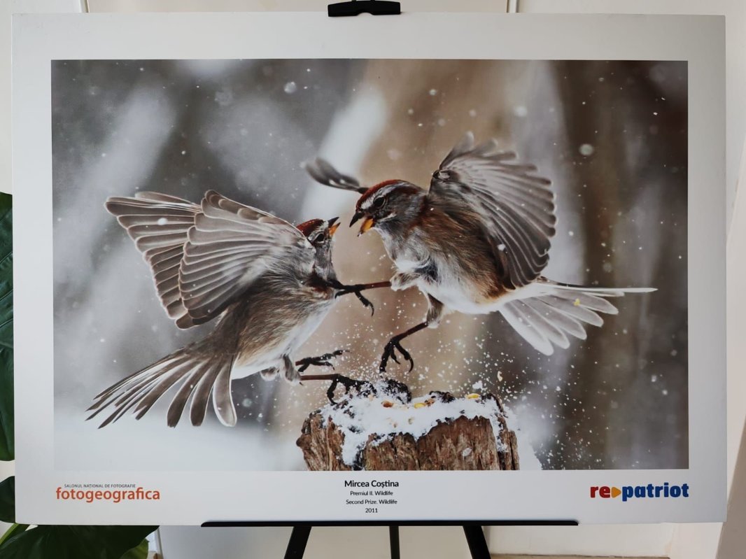 „Fotogeografica”, expoziţie retrospectivă 321042