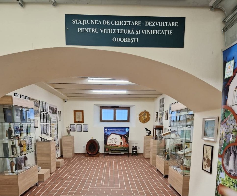 Trei muzee din Focșani au fost redeschise 321232