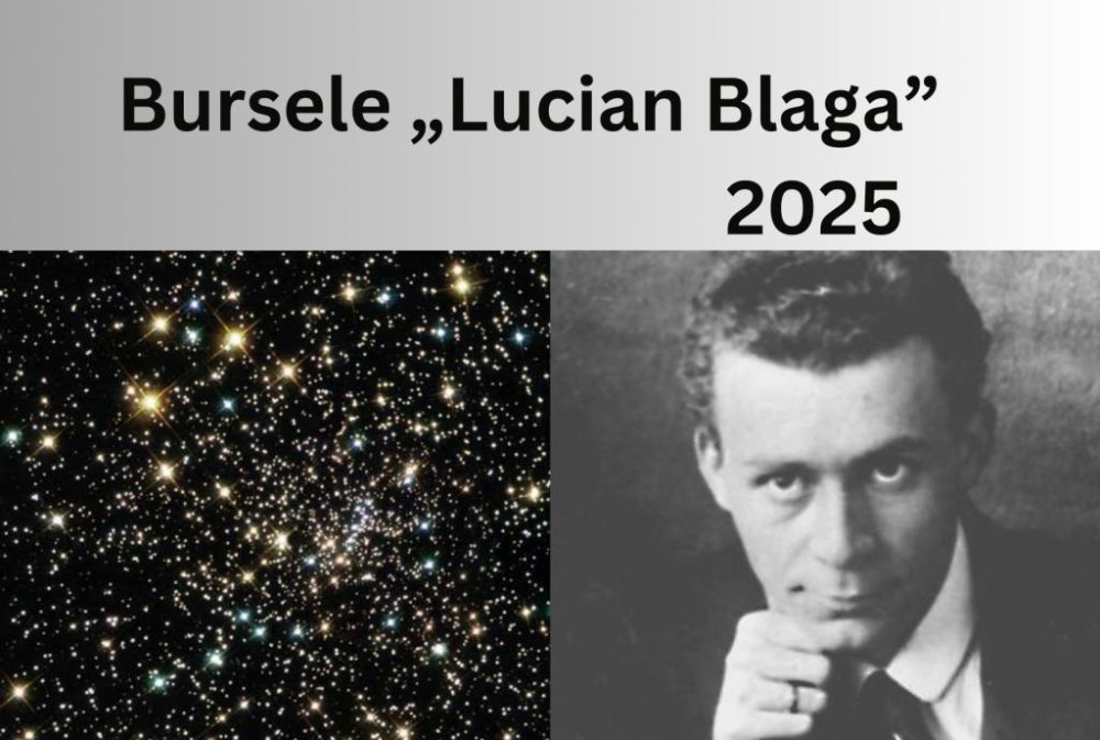 Trei burse „Lucian Blaga” pentru cercetare 321352