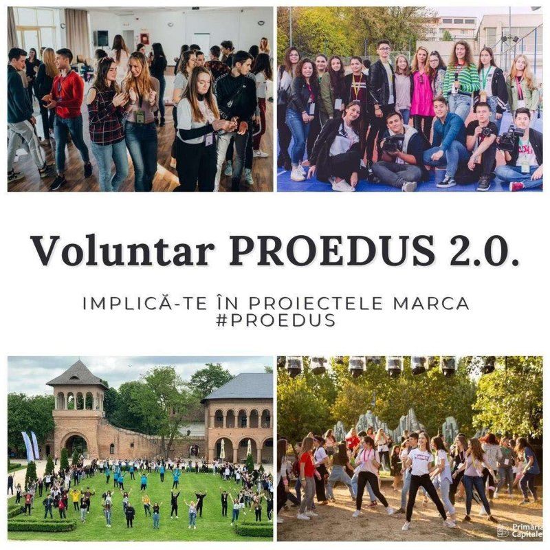 Voluntar PROEDUS 2.0 321360
