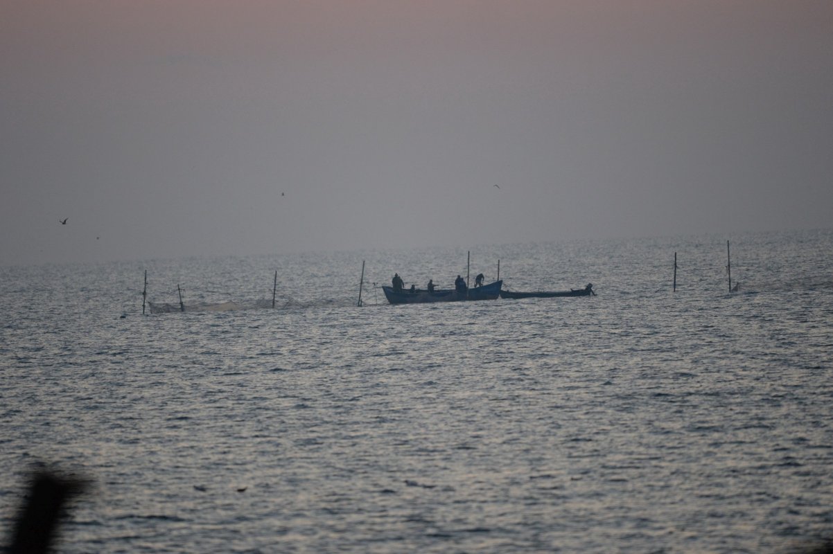 Îngrijorare privind poluarea din Marea Neagră 321848