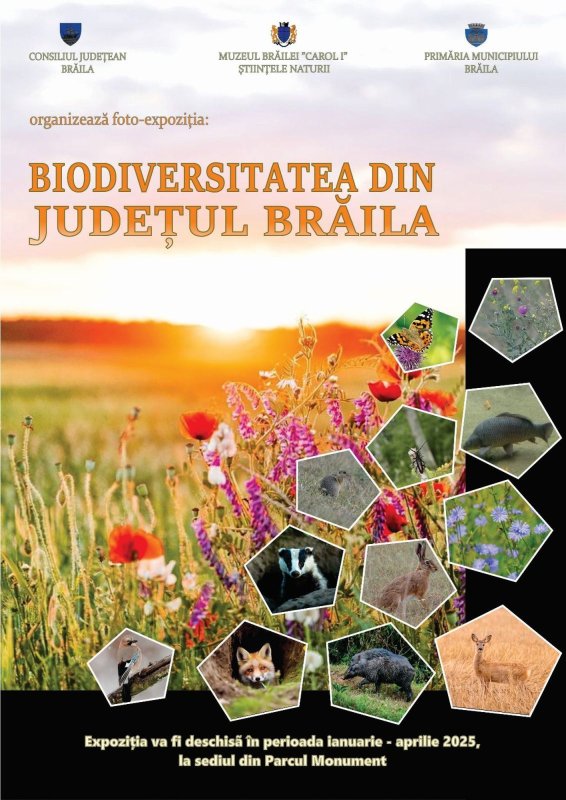 Biodiversitatea în fotografii 322888
