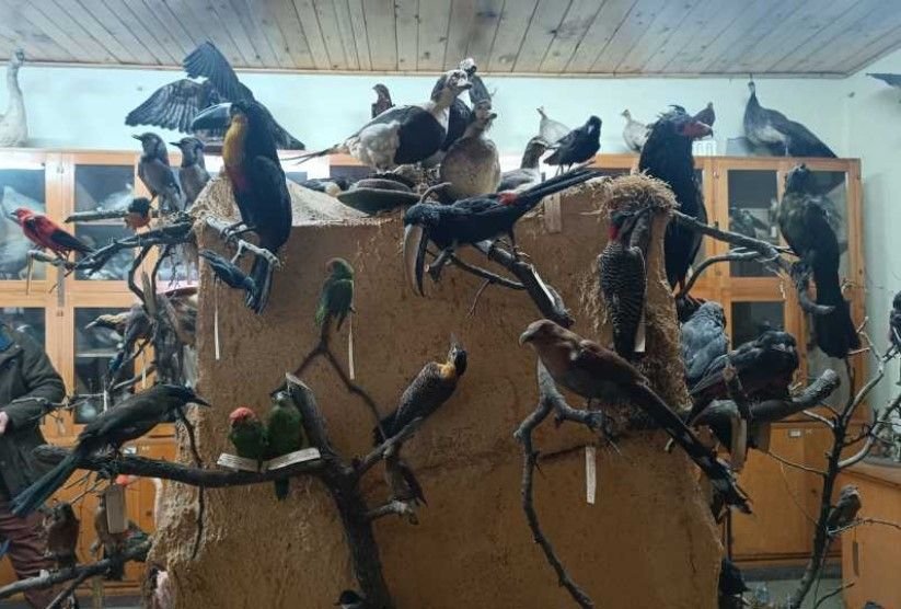 Un nou Muzeu de Științe ale Naturii, la Reghin 323772