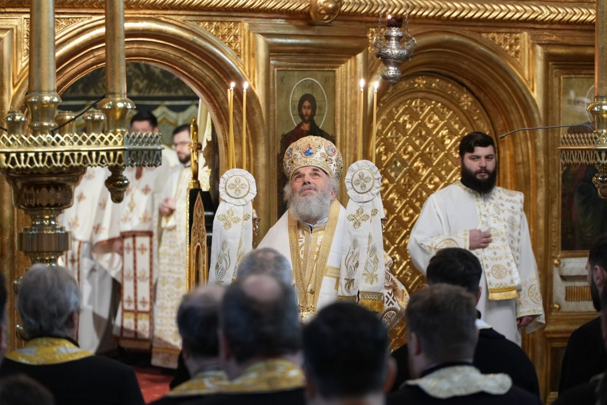 Felicitări pentru rodnica activitate 324184