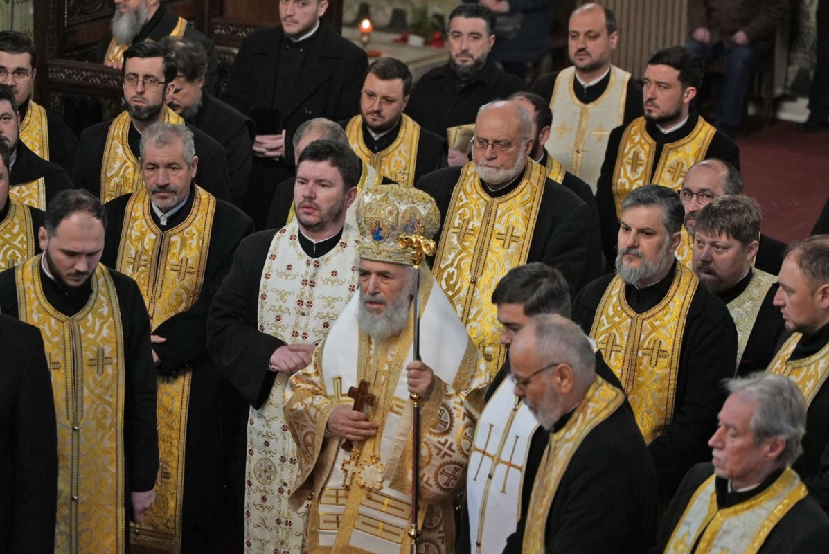 Felicitări pentru rodnica activitate 324250