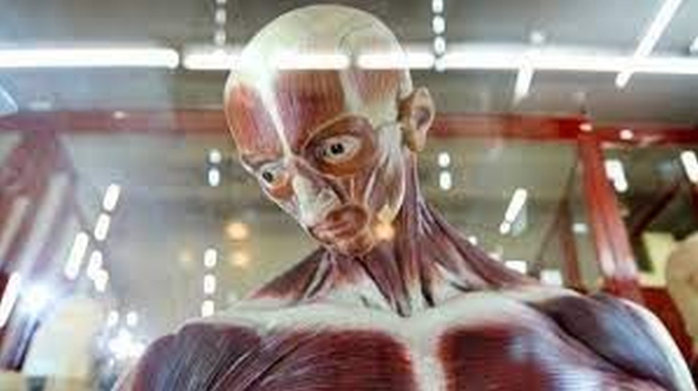 Conferință dedicată primei lucrări a lui Brâncuși, la Iași 324278