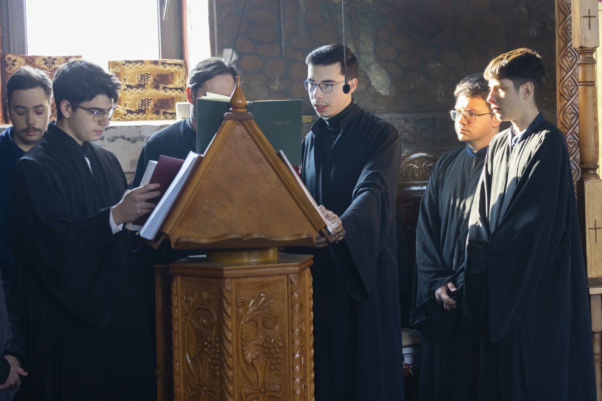 Ziua dezrobirii romilor marcată în satul ilfovean Sintești 324311