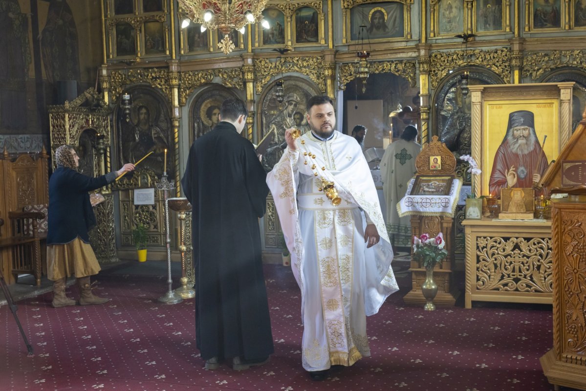 Ziua dezrobirii romilor marcată în satul ilfovean Sintești 324316