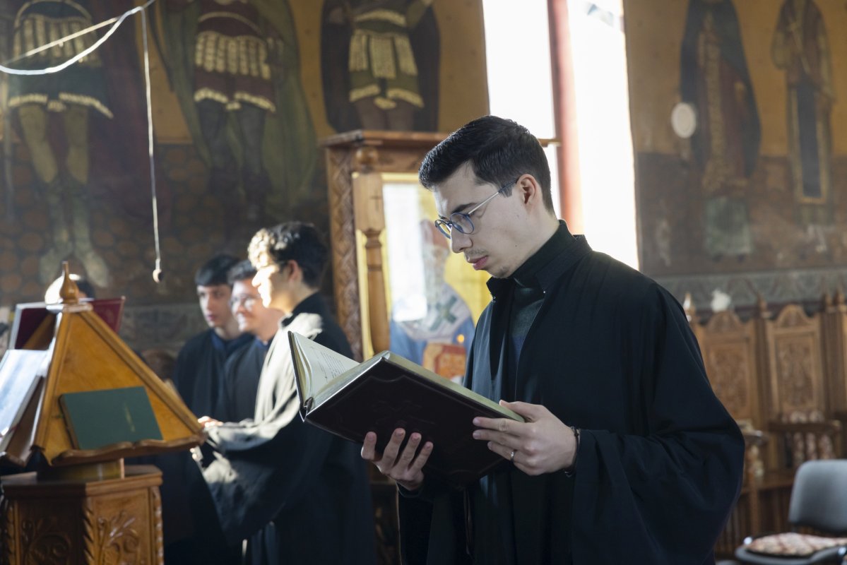 Ziua dezrobirii romilor marcată în satul ilfovean Sintești 324321