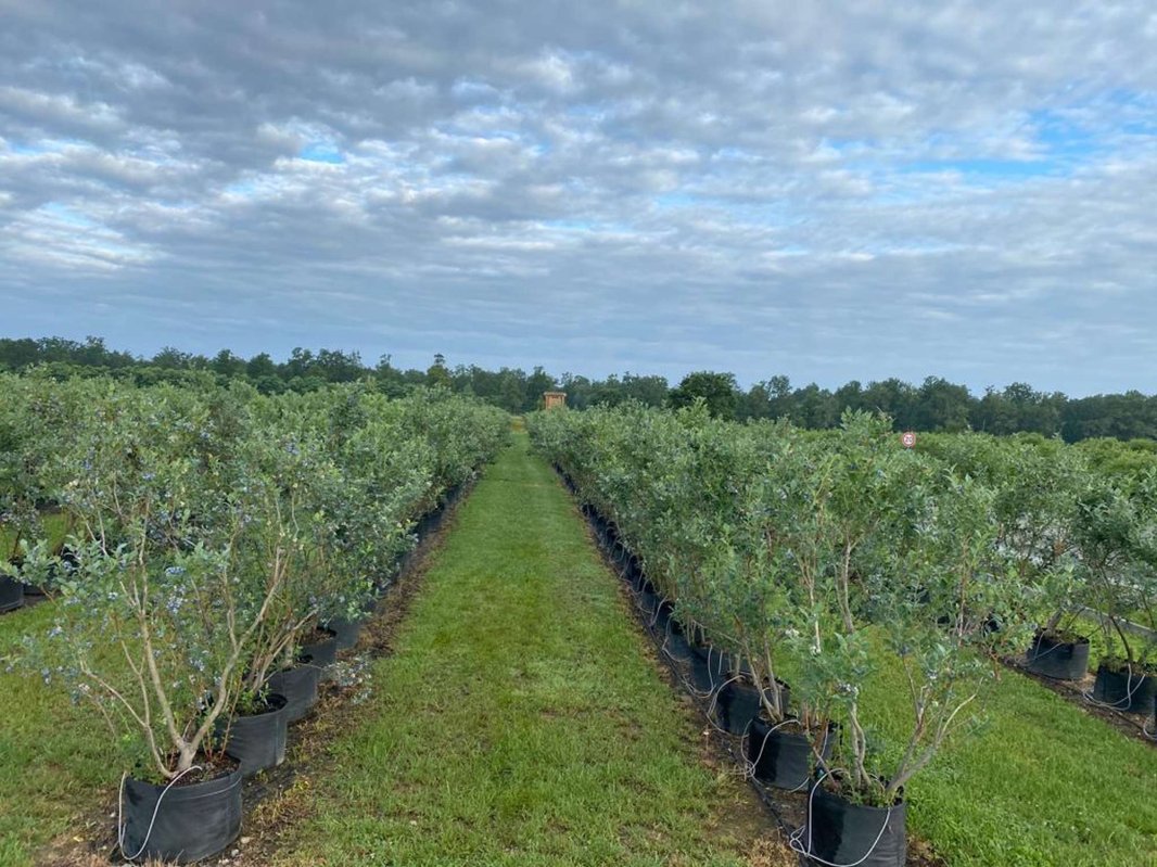 Rețea națională pentru biodiversitate 324373