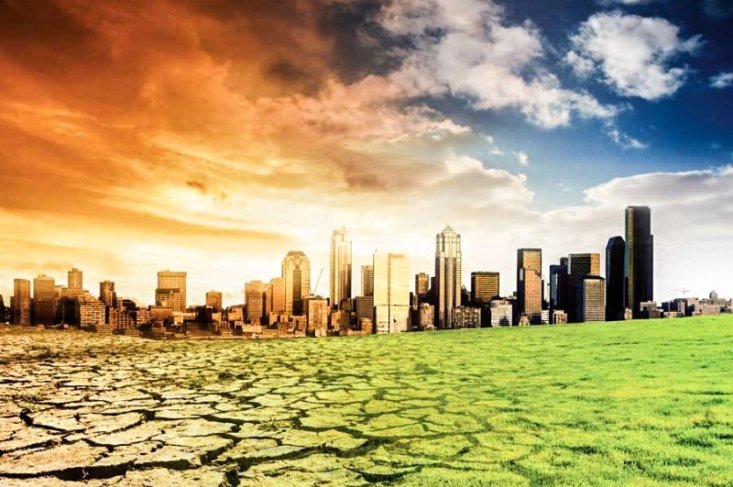 Despre adaptare 324462