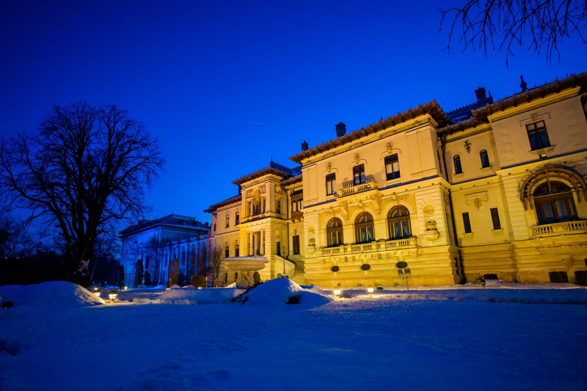 Consultări la Palatul Cotroceni 324643