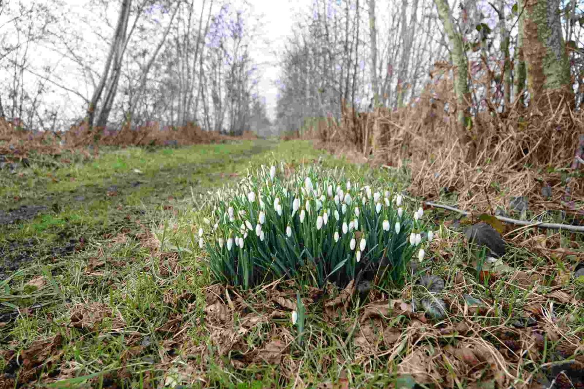 Înnoire personală și spirituală 324747