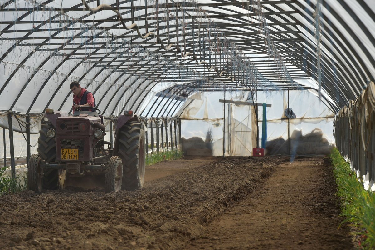 Crește subvenția la motorină 324882