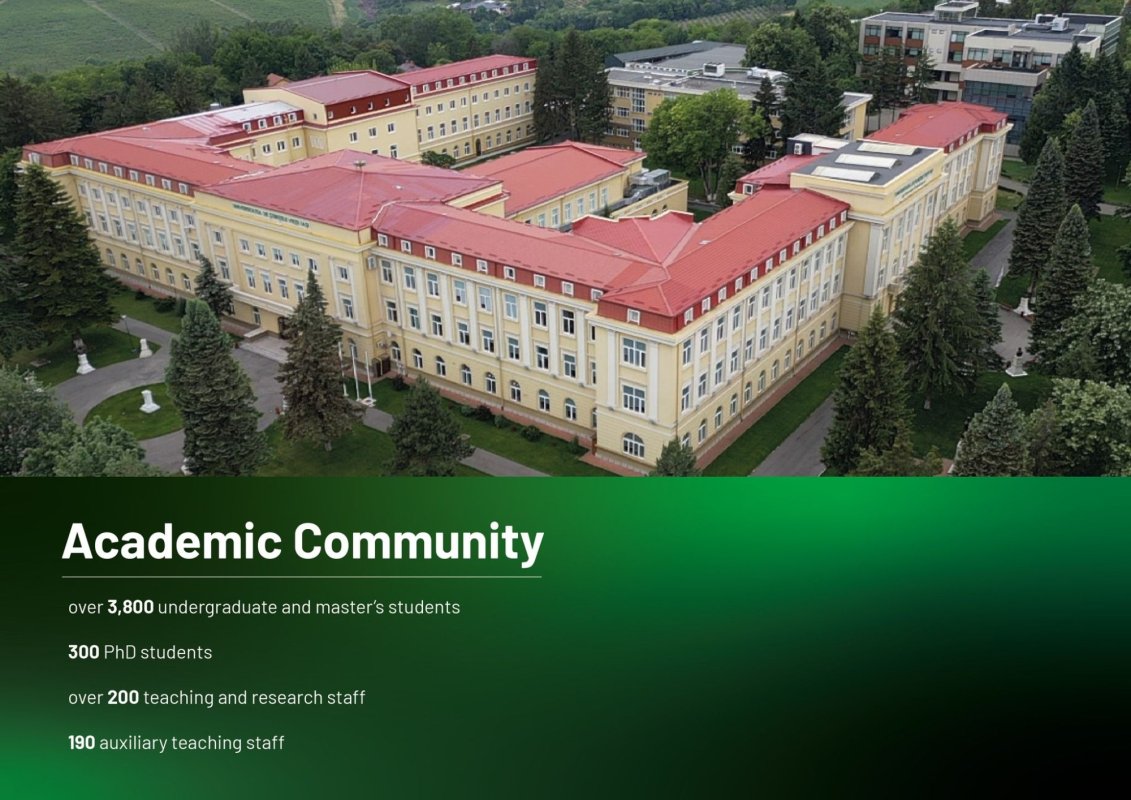 Educaţie culinară la un festival gastronomic 324864