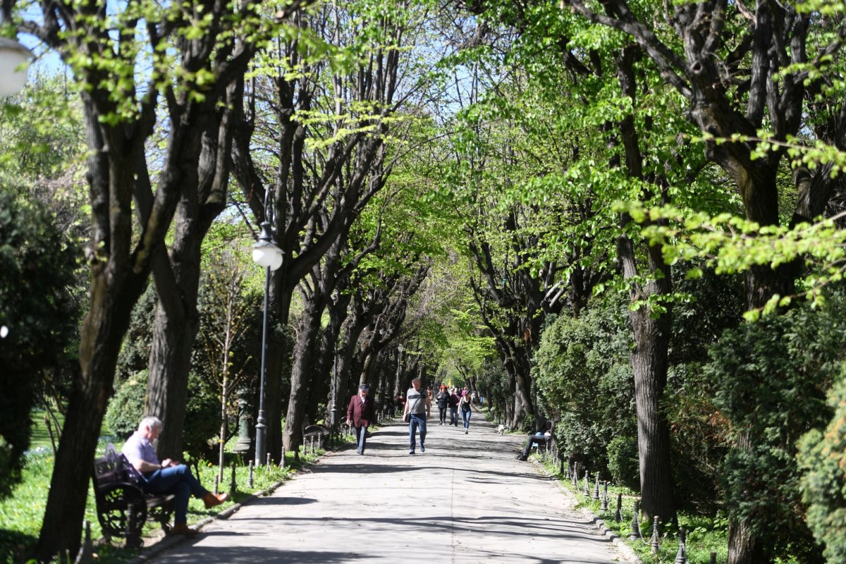 Temperaturi de până la 25 de grade Celsius în luna martie 325139