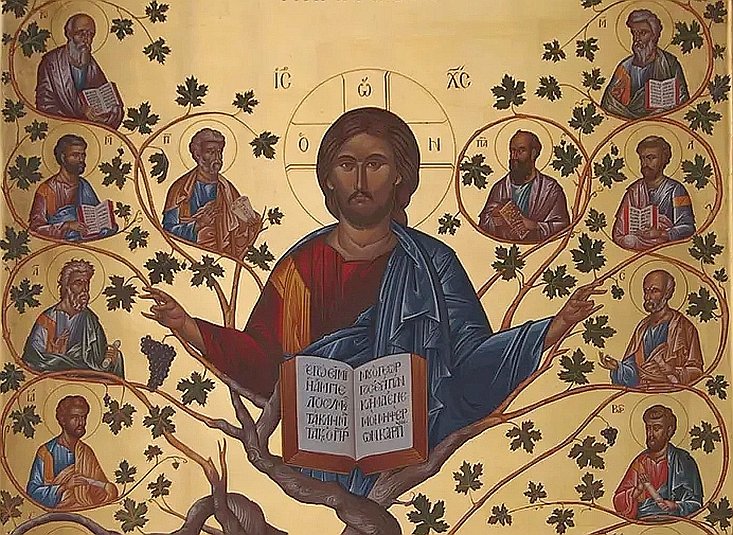 Ioan 15, 1-7 (Pilda viței și a mlădiței) 206007