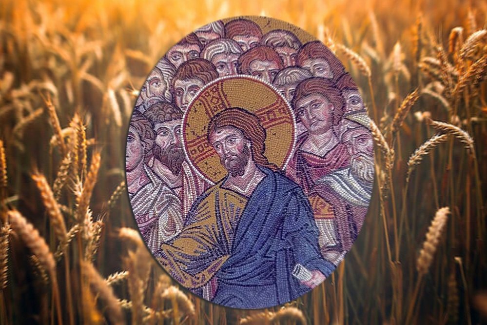 Marcu 2, 23-28; 3, 1-5 246257