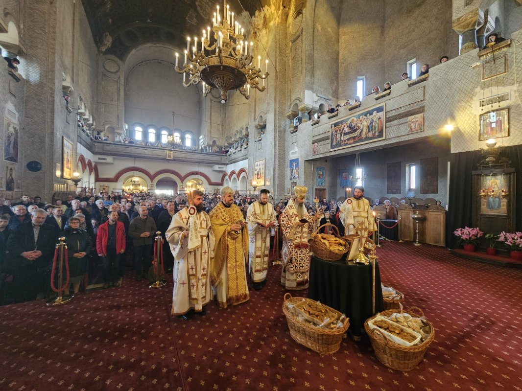 Expoziție la Palatul Episcopiei Sârbe din capitala Banatului 325713