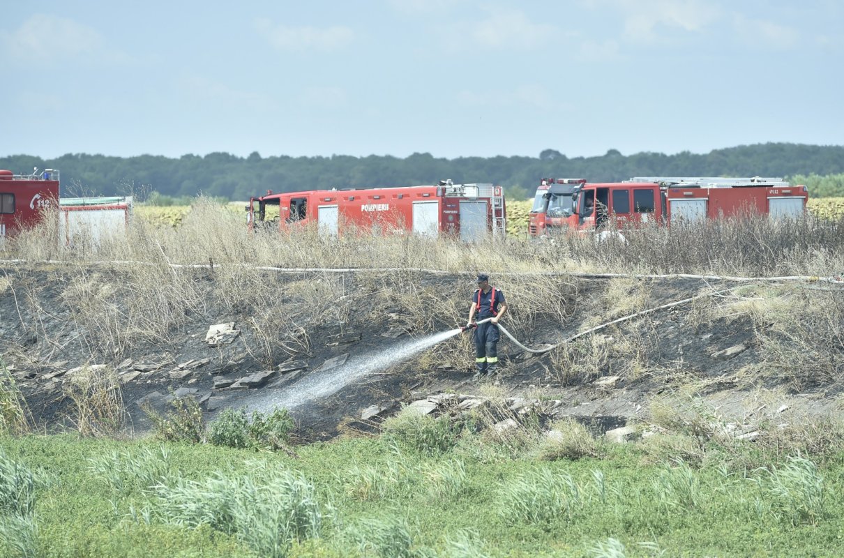 Intervenţii de mare amploare pentru stingerea incendiilor 325727