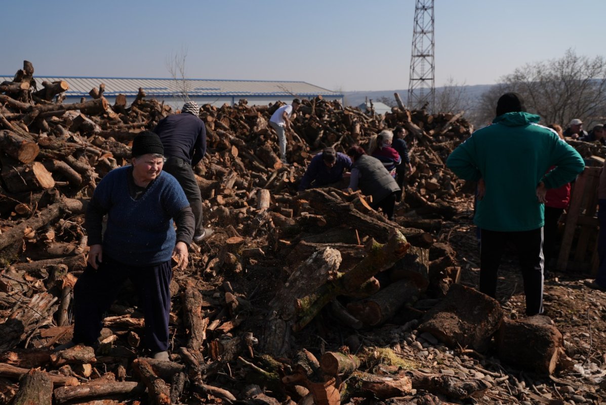 Lemne oferite sinistraţilor din judeţul Galaţi 325698