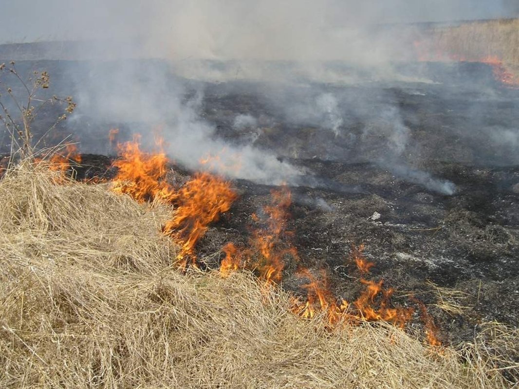 APIA: Fermierii care își incendiază terenurile riscă penalități 325919