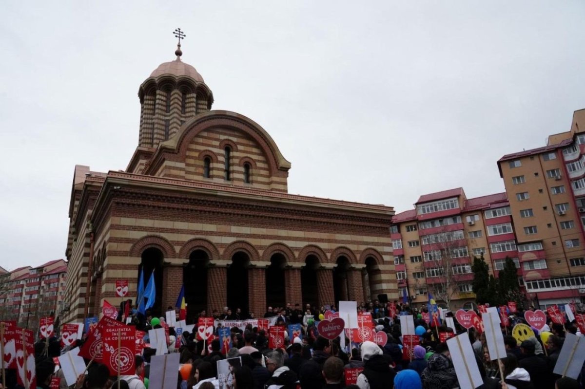 Activități dedicate tinerilor în Târgoviște 327382