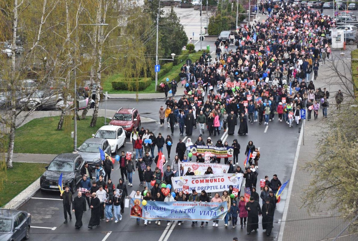 Activități dedicate tinerilor în Târgoviște 327387