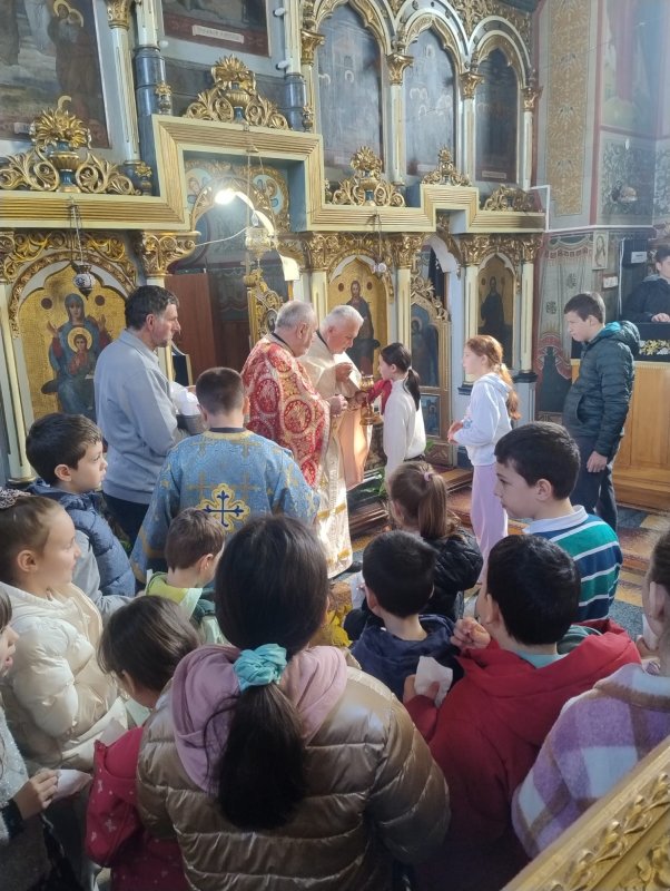 Evenimente misionare în Arhiepiscopia Timișoarei 327515