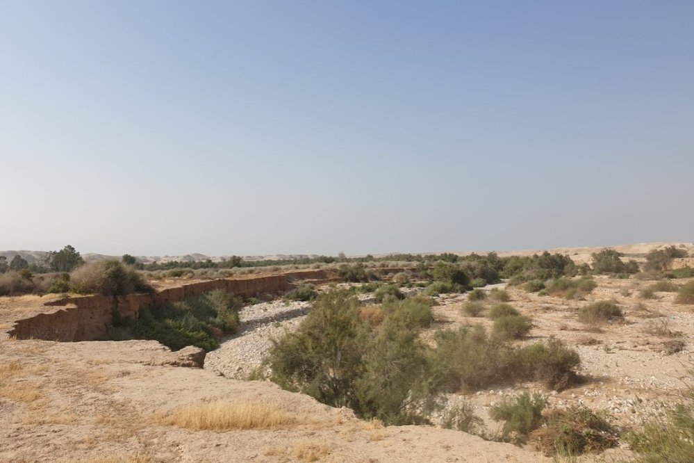 Cuvinte pentru cei rătăciți sau căzuți pe cale 327522