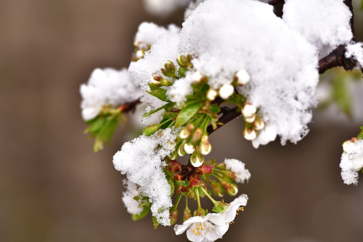 Vreme foarte rece până joi 327879