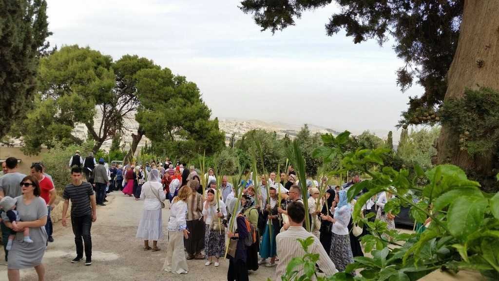 Cuvinte, pași și lacrimi pe urmele Mântuitorului 328083